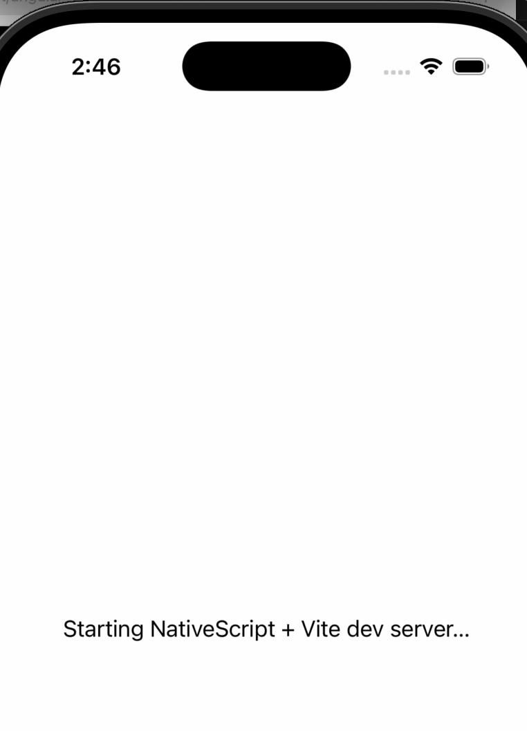 Vite with NativeScript Placeholder screen